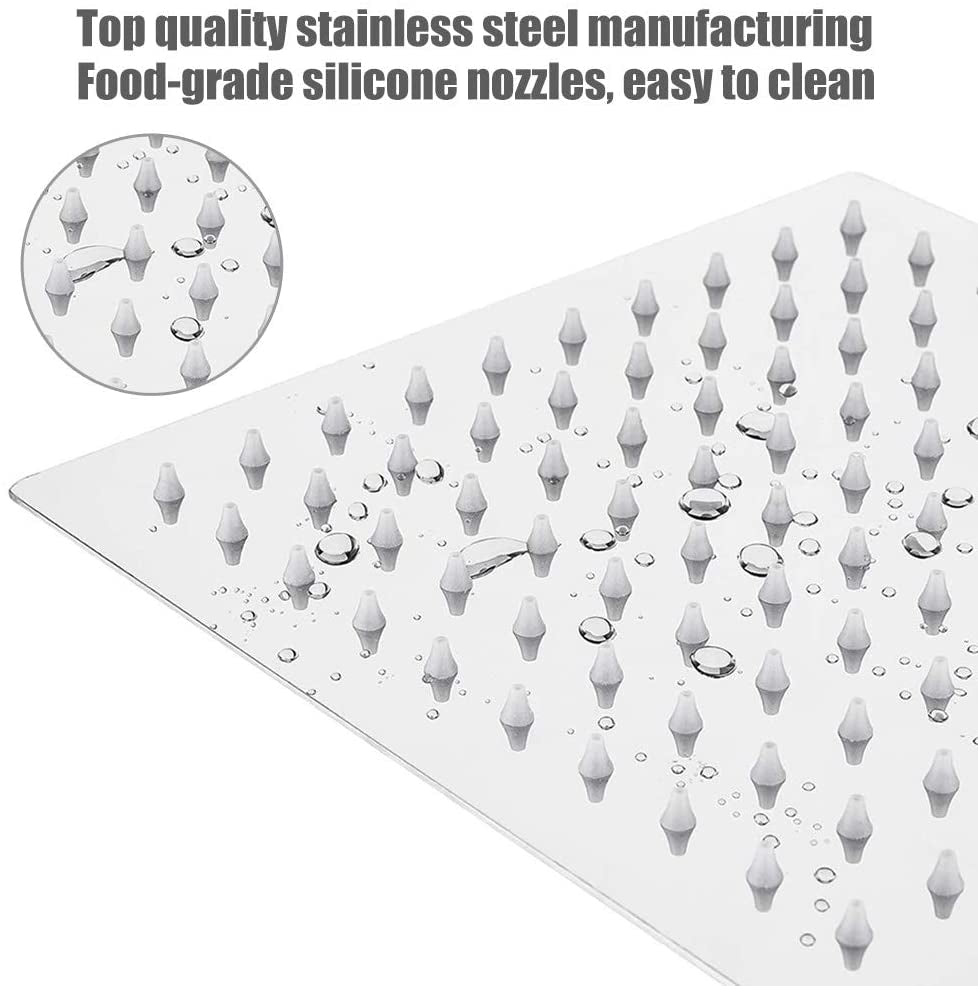 ZenRain Shower Head